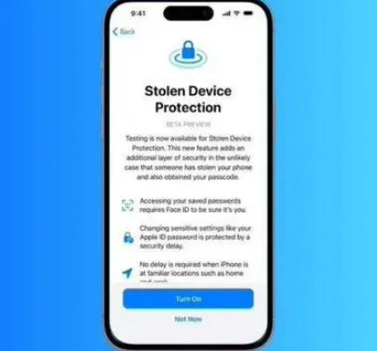 天涯镇苹果授权维修店分享被盗设备保护功能开启方法 