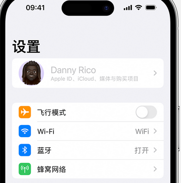 天涯镇appleID维修服务iPhone设置中Apple ID显示为灰色无法使用 