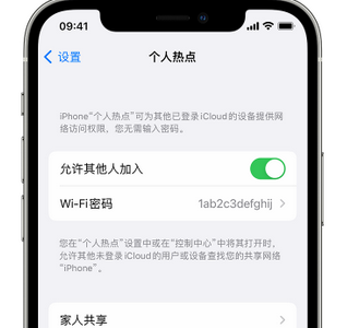 天涯镇apple服务站点分享iPhone上个人热点丢失了怎么办 