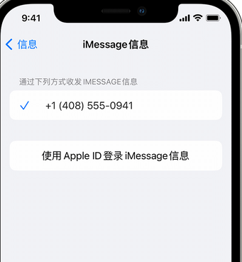 天涯镇apple维修iPhone上无法正常发送iMessage信息 