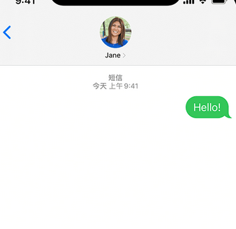 天涯镇apple维修iPhone上无法正常发送iMessage信息