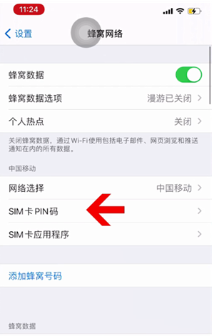 天涯镇苹果14维修网分享如何给iPhone14的SIM卡设置密码 