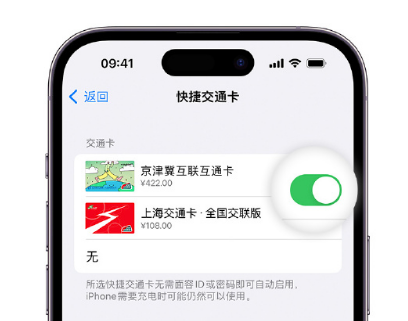 天涯镇apple维修点分享iPhone上更换Apple Pay快捷交通卡手绘卡面 