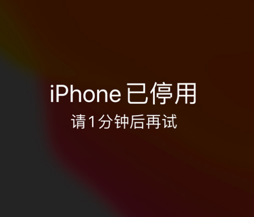 天涯镇苹果手机维修分享:iPhone 显示“不可用”或“已停用”怎么办？还能保留数据吗？ 