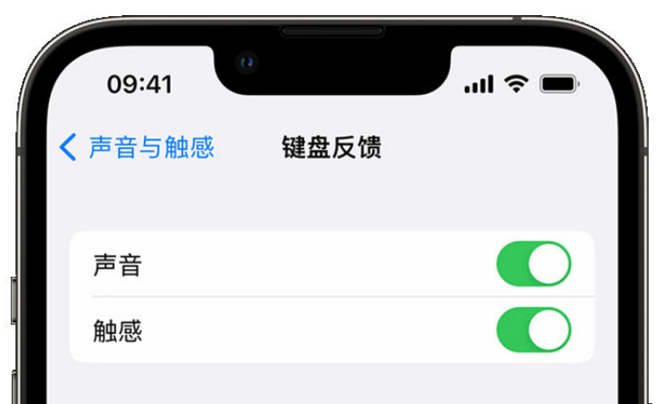 天涯镇苹果手机维修分享iPhone 14触感键盘使用方法 