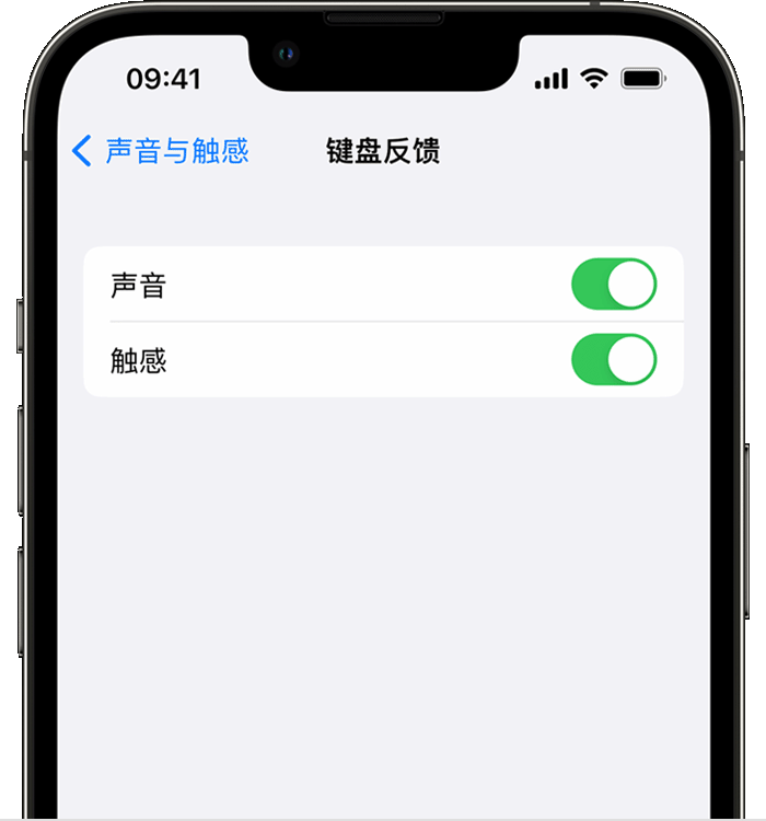 天涯镇苹果14维修店分享如何在 iPhone 14 机型中使用触感键盘 