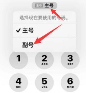 天涯镇苹果14维修店分享iPhone 14 Pro Max使用副卡打电话的方法 