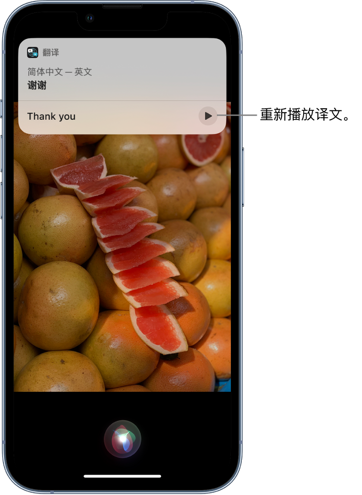 天涯镇苹果14维修分享 iPhone 14 机型中使用 Siri：了解 Siri 能帮你做什么 