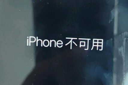 天涯镇苹果服务网点分享锁屏界面显示“iPhone 不可用”如何解决 