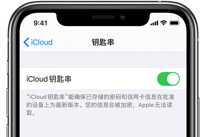 天涯镇苹果手机维修分享在 iPhone 上开启 iCloud 钥匙串之后会储存哪些信息 