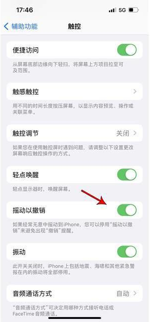 天涯镇苹果手机维修分享iPhone手机如何设置摇一摇删除文字 