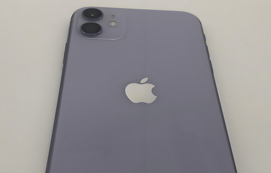 天涯镇苹果11系统维修分享iPhone11手机系统崩溃无法开机如何解决